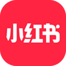 打底袜子什么牌子好
